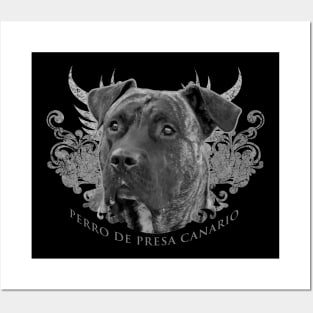 Perro de Presa Canario - Dogo Canario Posters and Art